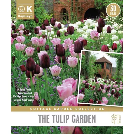 Cottage Garden ‘Tulip Garden Bags’ – Klasszikus tavaszi tulipánkeverék