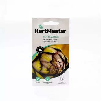 Kertmester "A" Articsóka (Vetőmag) – Palántázás