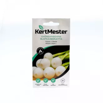 Kertmester "A" Hagymamag Gyöngyhagyma Blanca Barletta – Palántázás