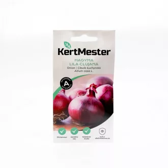 Kertmester "A" Hagyma lila Clujana (Vetőmag) – Palántázás