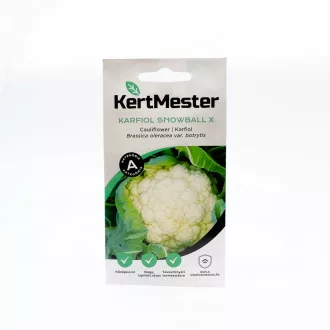Kertmester "A" Karfiol Snowball X (Vetőmag) – Palántázás
