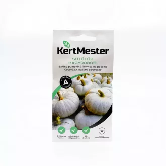 Kertmester "A" Sütőtök Nagydobosi (Vetőmag) – Palántázás