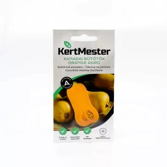 Kertmester "A" Kanadai sütőtök Orange Agro (Vetőmag) – Palántázás