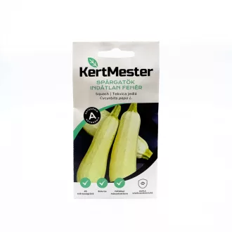 Kertmester "A" Spárgatök Alba Indátlan Fehér (Vetőmag) – Palántázás