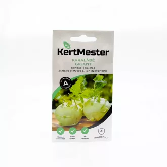 Kertmester "A" Karalábé Gigant (Vetőmag) – Palántázás
