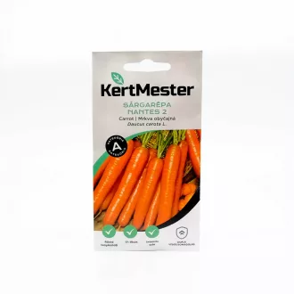 Kertmester "A" Sárgarépa Nantes 2 (Vetőmag) – Palántázás