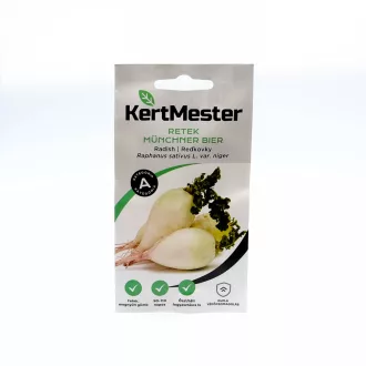 Kertmester "A" Retek Ovale Blanch de Münich Münchner Bier – Palántázás