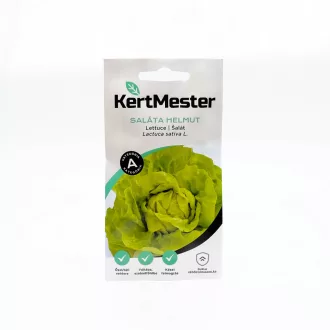 Kertmester "A" Saláta Helmut (áttelelő) (Vetőmag) – Palántázás
