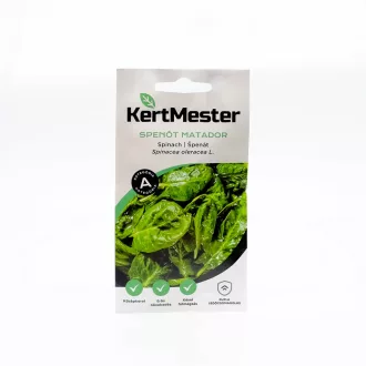 Kertmester "A" Spenót matador (Vetőmag) – Palántázás