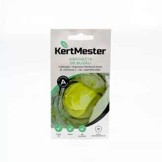 Kertmester "A" Káposzta de Buzau (Vetőmag) – Palántázás