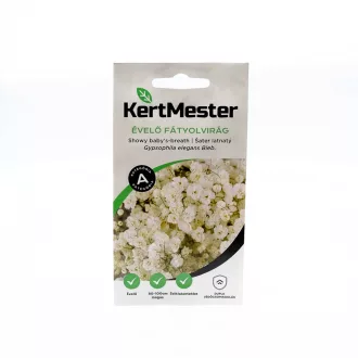 Kertmester "A" fátyolvirág - Évelő (Virágmag) – Palántázás