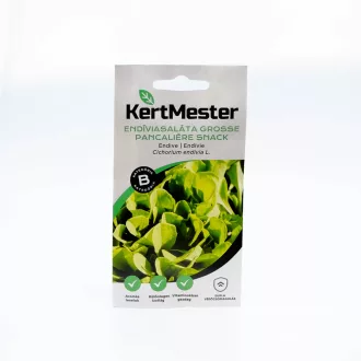 Kertmester "B" Endíviasaláta Grosse Pancaliere snack – Palántázás
