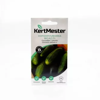 Kertmester "B" Konzervuborka Bicaz F1 (Vetőmag) – Palántázás