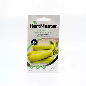Kertmester "B" Spárgatök Summer Ace F1 (Vetőmag) – Palántázás