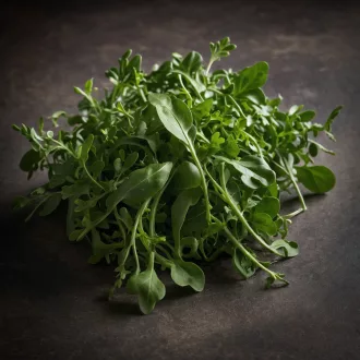 Kertmester "B" Rukkola baby leaf (Vetőmag) – Palántázás