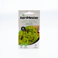 Kertmester "B" Lollo bionda Saláta - baby leaf