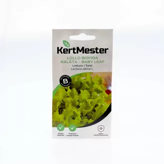 Kertmester "B" Lollo bionda Saláta - baby leaf (Vetőmag) – Palántázás