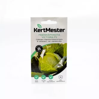 Kertmester "B" Fejeskáposzta Victoria F1 (Vetőmag) – Palántázás