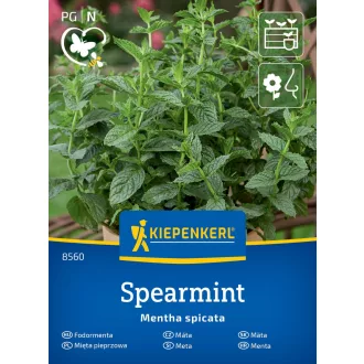 Menta (KP) (Virágmag)