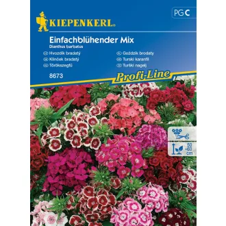 Törökszegfű színkeverék (KP) (Virágmag)