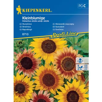 napraforgo-kleinblumige-kp-vetomag
