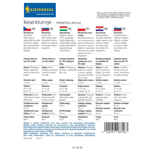 napraforgo-riesenblumige-kp-vetomag