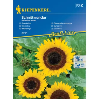 Napraforgó Schnittwunder (KP) (Virágmag)