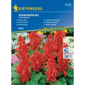 Paprikavirág Johannisfeuer (KP) (Virágmag) – Palántázás
