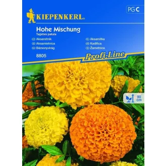 barsonyvirag-magas-szinkeverek-kp-vetomag