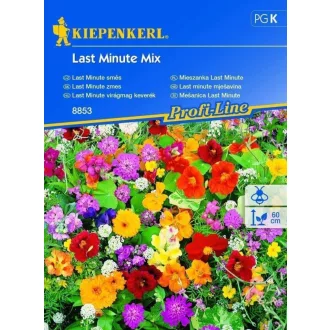 Last Minute virágmag keverék (KP) – Palántázás