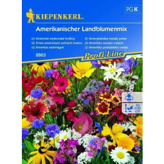 Amerikai-vadviragok-KP