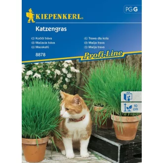 macskafu-kp-vetomag