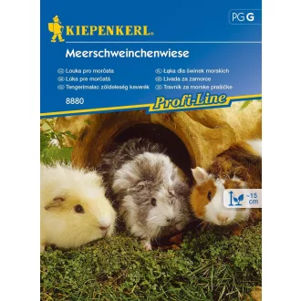 tengerimalacok-legelöje-magkeverek-kp