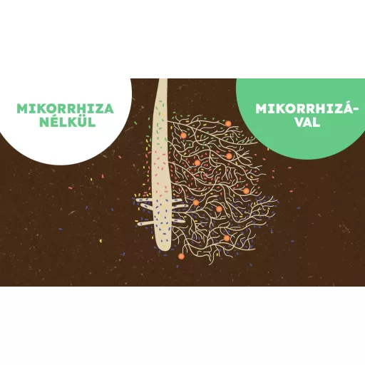 MikoMax Garden 1kg - Terméshozam növelő mikorrhiza gombával
