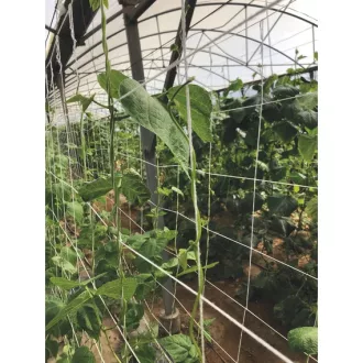 TRELLINET COMPOST lebomló növénytartó háló 2x5m