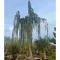 Cedrus atlantica Pendula K1000L 40-50 - Csüngő cédrus törzses