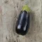 Long Purple Padlizsán BIO (Solanum melongena) (Vetőmag)