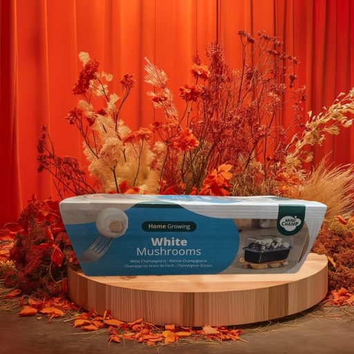 feher-champion-gomba-termeszto