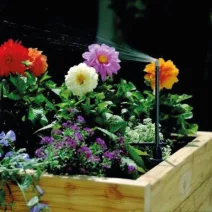 Csepegtető- és mikroöntözés