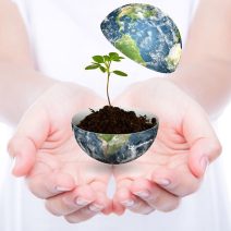 Bio, környezettudatos, szerves trágyák