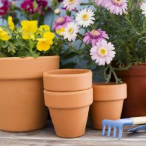 Virágcserepek, virágládák