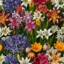 Egyéb tavaszi virághagymák