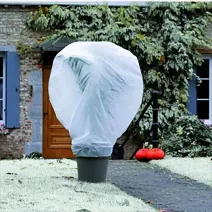 Téli védelem, átteleltető fólia