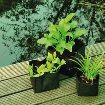 Vízinövény kiegészítők