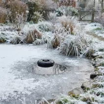 Winter Pond