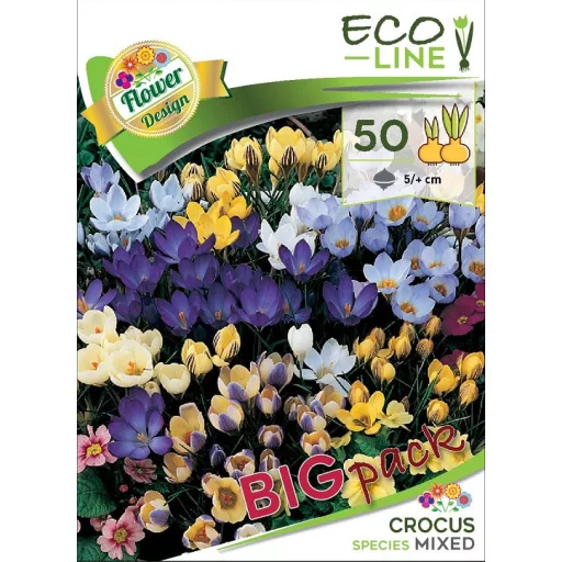 Crocus Botanical mixed / Botanikai krókusz színkeverék 50 db