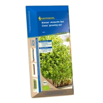 zsazsa-csiraztato-keszlet