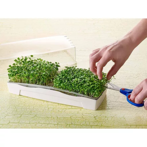 MicroGreen Garden DUO készlet dupla csíráztató tál + 2 vetőmagpárna (zsázsa, rukkola) + csíramag (jégcsapretek)