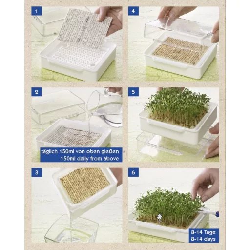 MicroGreen Garden mikrozöldség készlet csíráztató tál + 4 vetőmagpárna – Csírák, csíráztatók