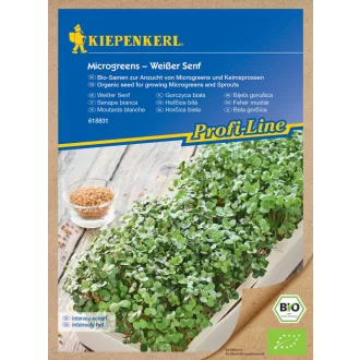 BIO-mikrozöldség vetőmag fehér mustár 50g – Csírák, csíráztatók